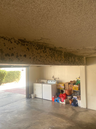 Photo from customer review