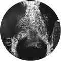 Angela H profile picture